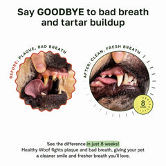 Healthy Woof dental powder mixed with water forms savory broth for dental routines.