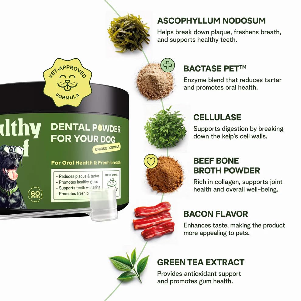 Healthy Woof dental powder ingredients highlight Icelandic kelp and green tea blend.