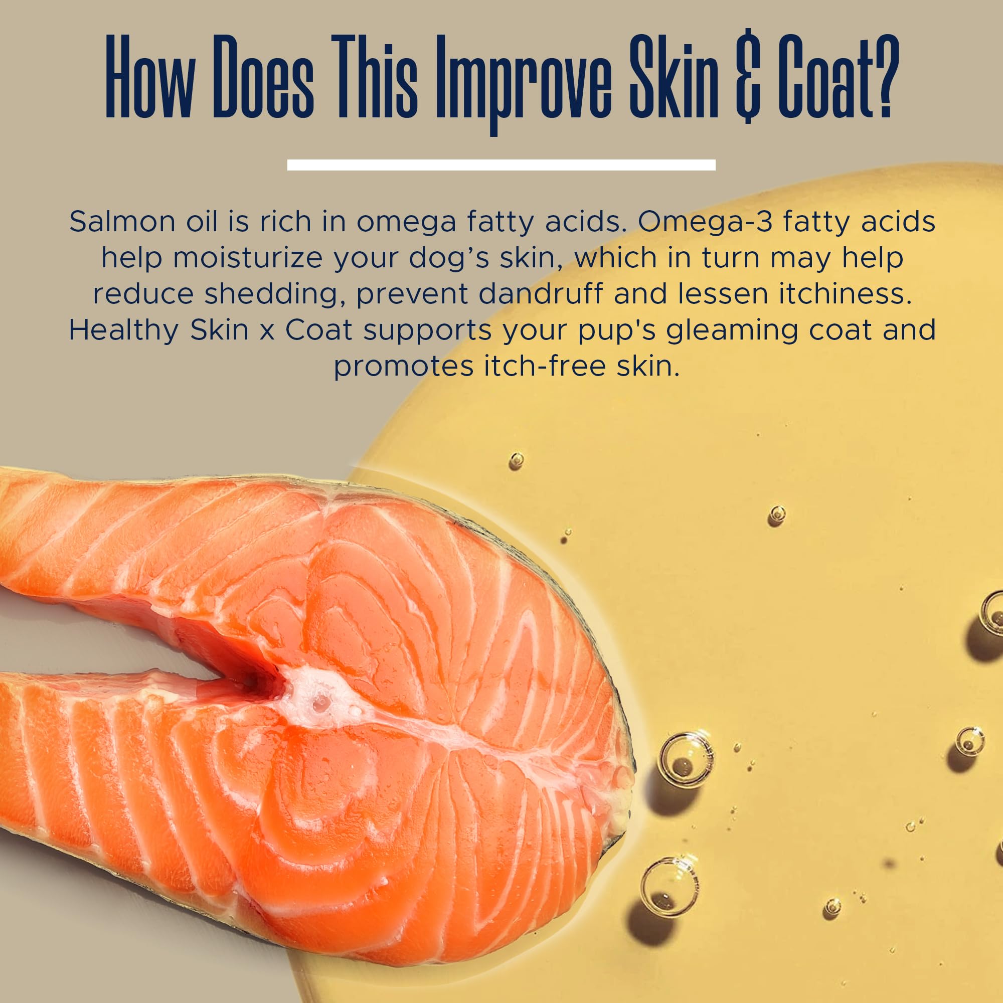 Healthy Pup dog fish oil supplements bottle image highlights convenient jar for daily use