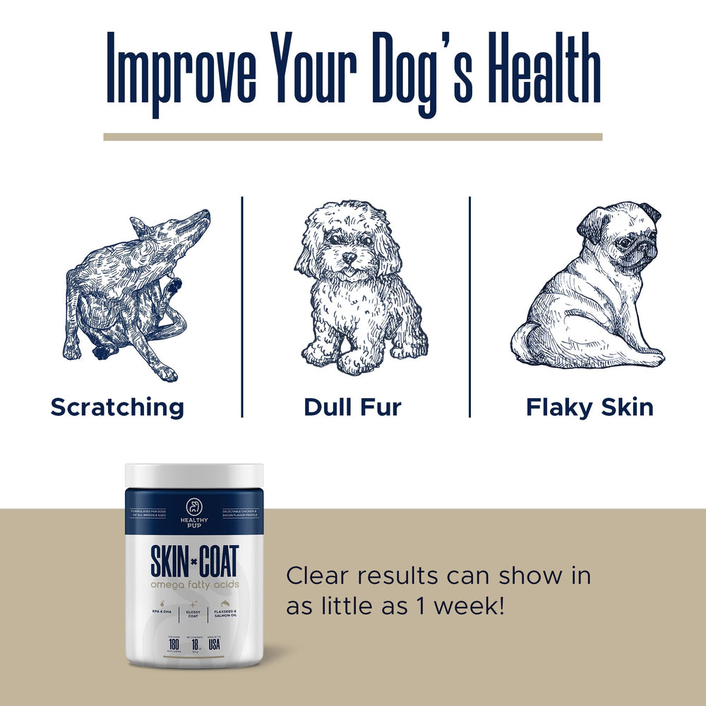 Healthy Pup dog fish oil supplements dog eating scene implies daily routine and coat support