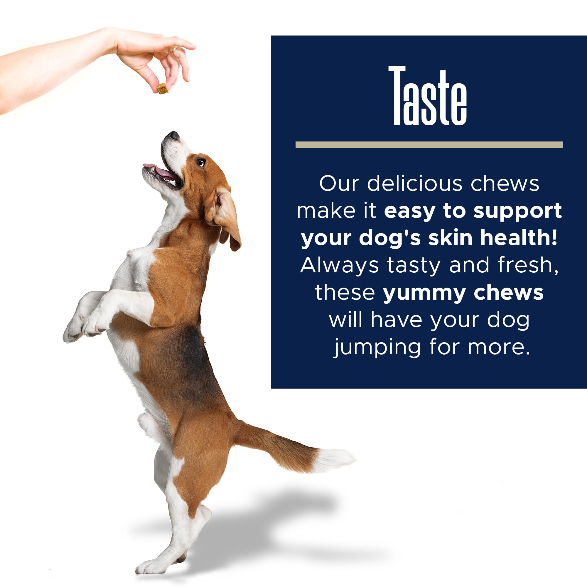 Healthy Pup dog fish oil supplements USA made seal communicates quality and trusted sourcing