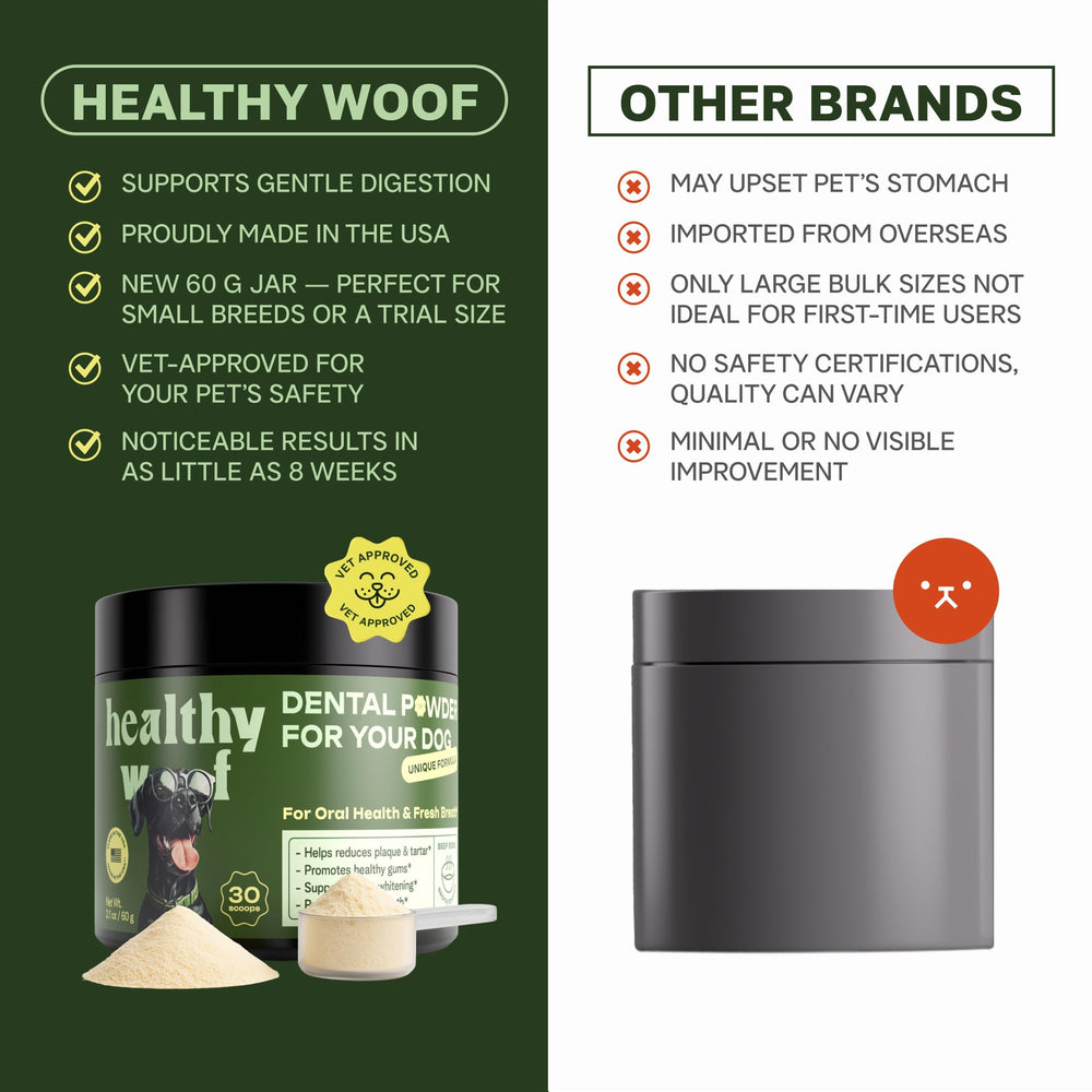 Healthy Woof bone broth serving highlights a tasty oral care option.