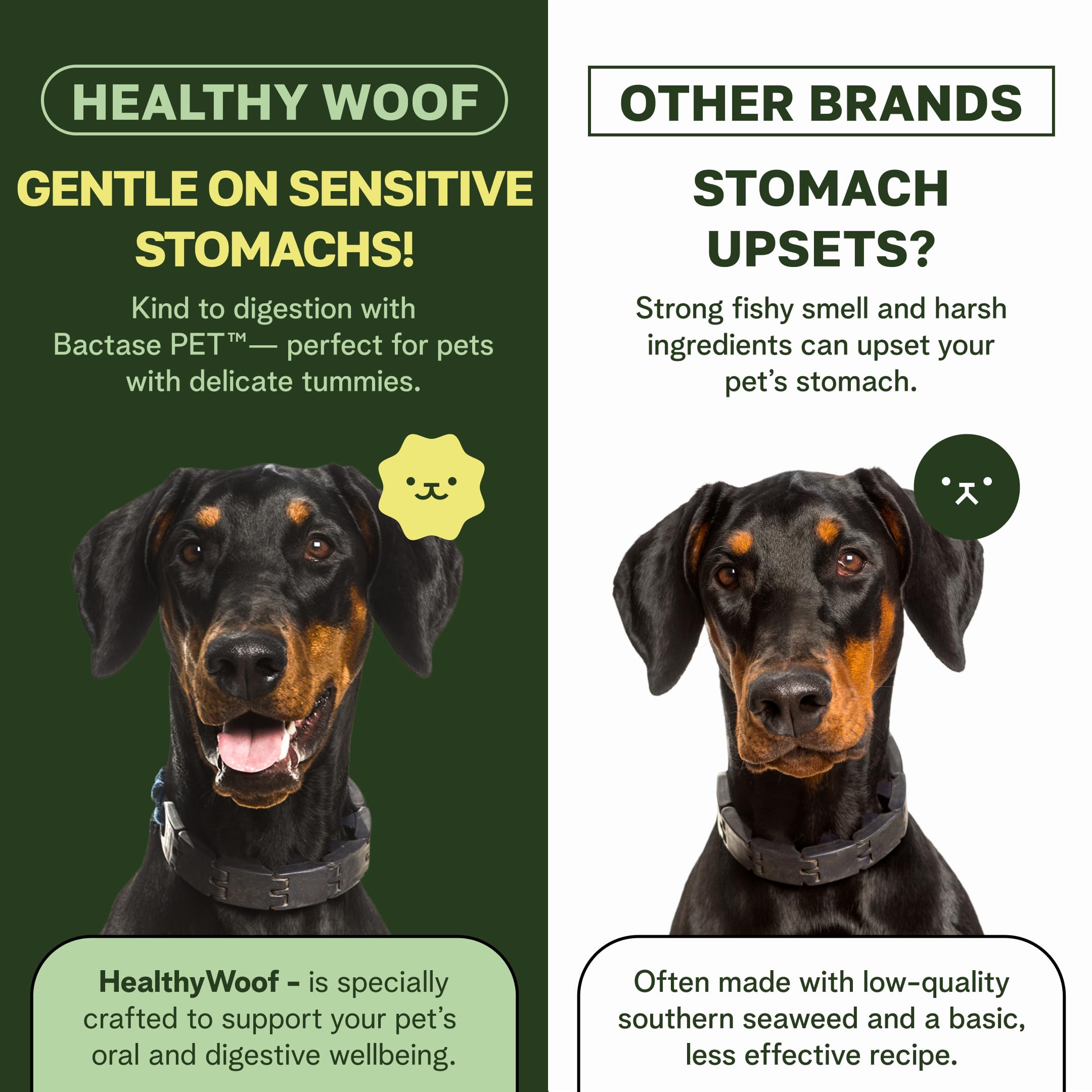 Healthy Woof dental powder on dog food shows an easy brushing-free routine.