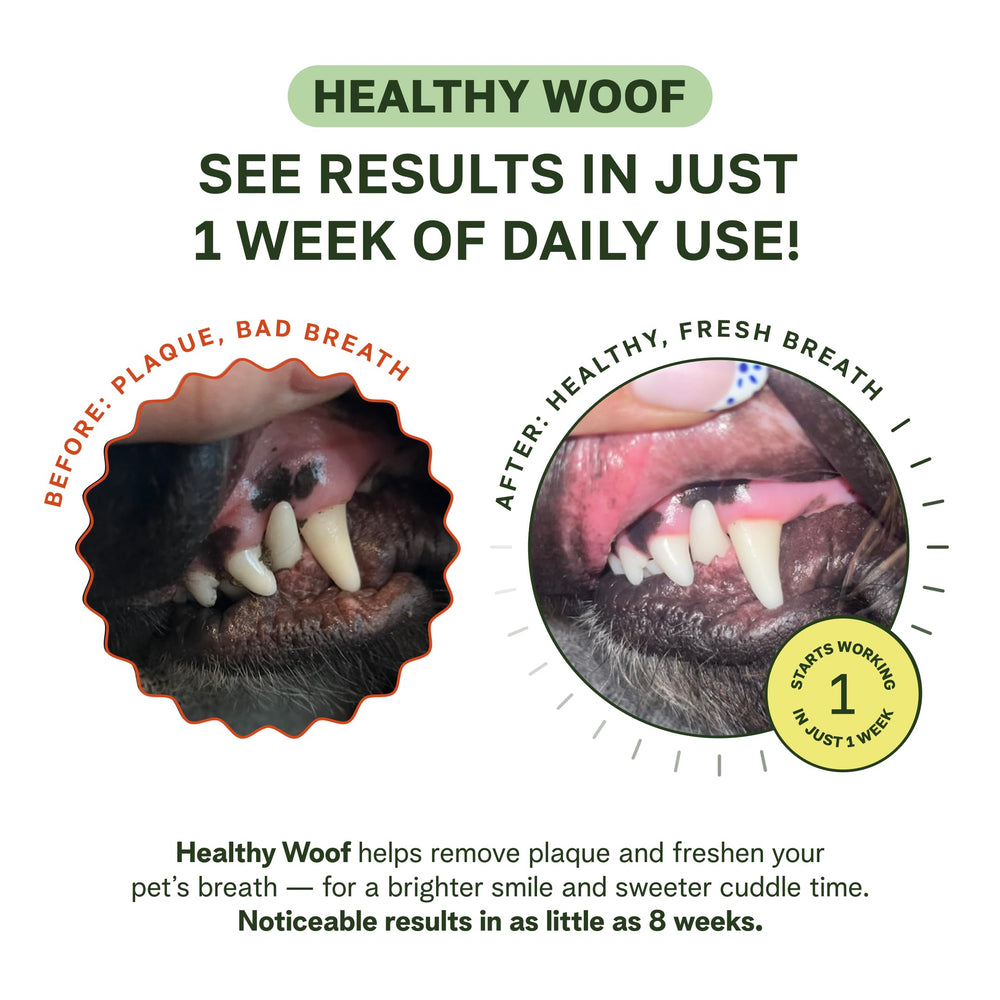 Healthy Woof dental powder pouring on food demonstrates simple daily use.