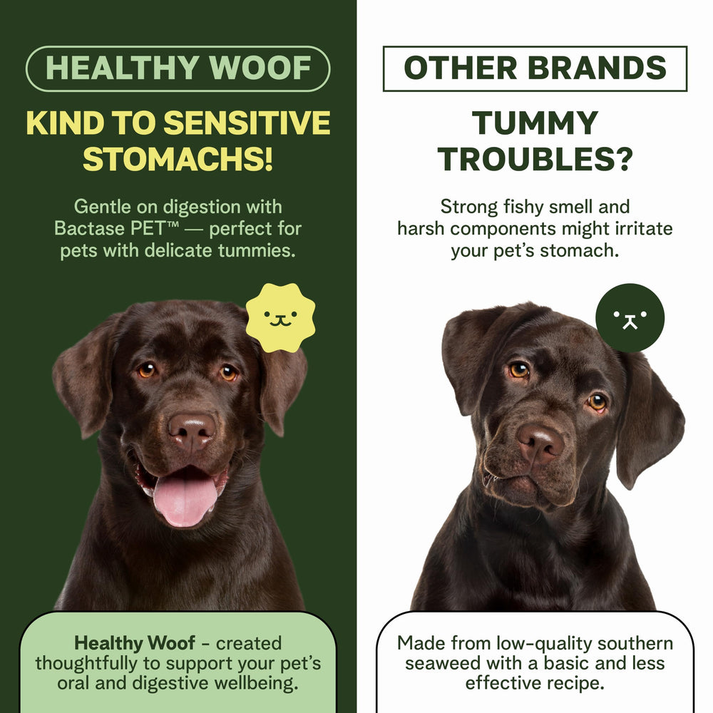 Healthy Woof green tea enzyme blend emphasizes enzyme-rich dental care.