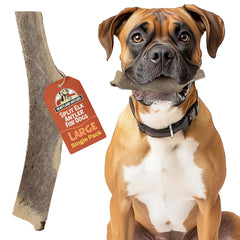 Heartland Antlers 7-inch large dog chew shows durable bite for aggressive chewers.