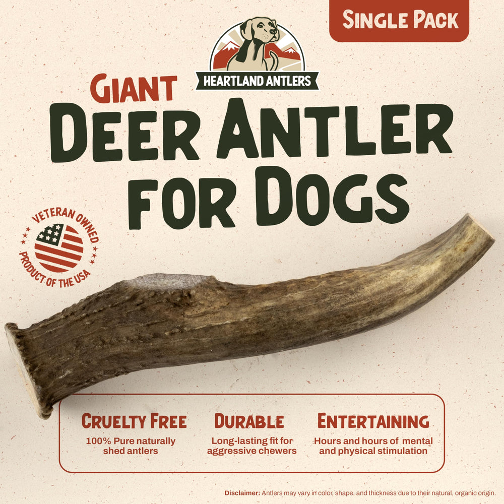 Heartland Antlers closeup durable-split—long-lasting chew helps curb destructive chewing.
