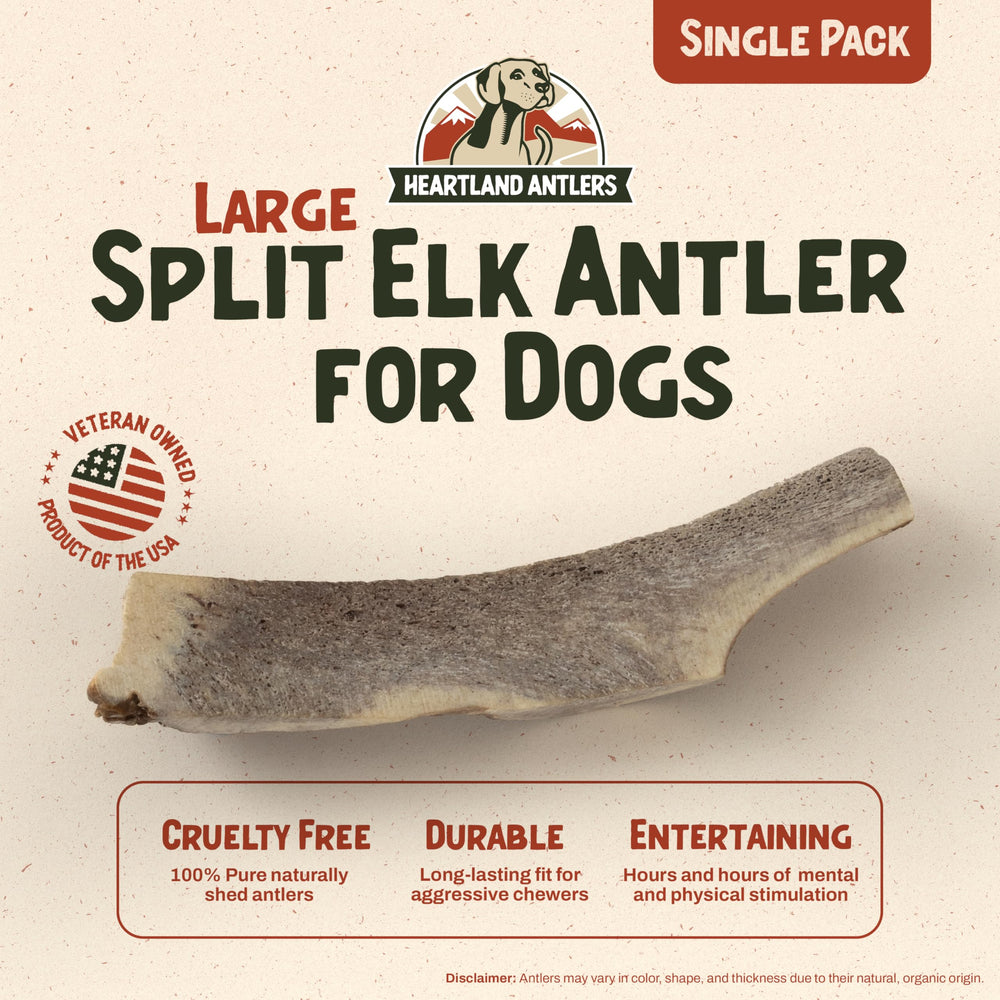 Heartland Antlers dense outer layer closeup highlights long-lasting chewing sessions.