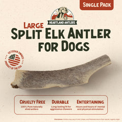 Heartland Antlers dense outer layer closeup highlights long-lasting chewing sessions.