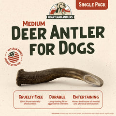 Heartland Antlers medium 5-6 inch deer antler chew for aggressive chewers.