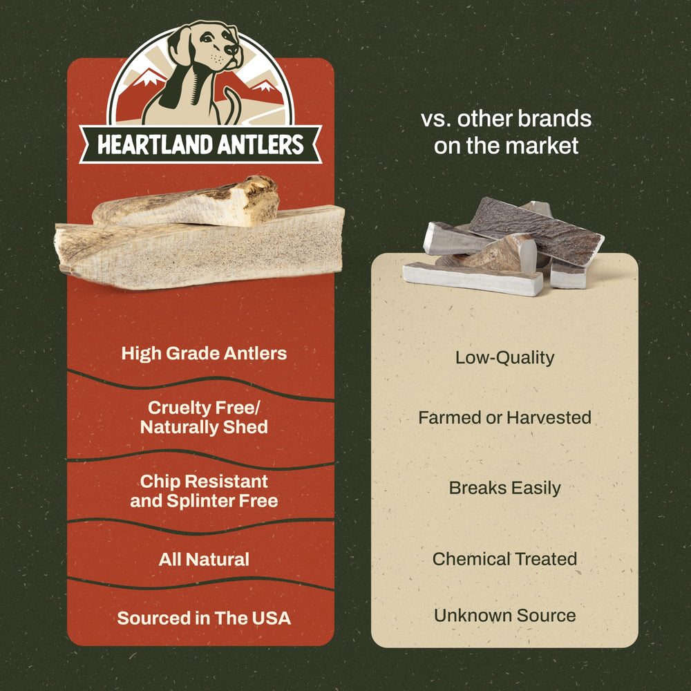 Heartland Antlers USA-made elk chew demonstrates quality and origin.