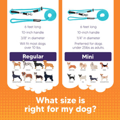 Heather's Heroes Sidekick supports behavior mastery with calm, controlled walking.