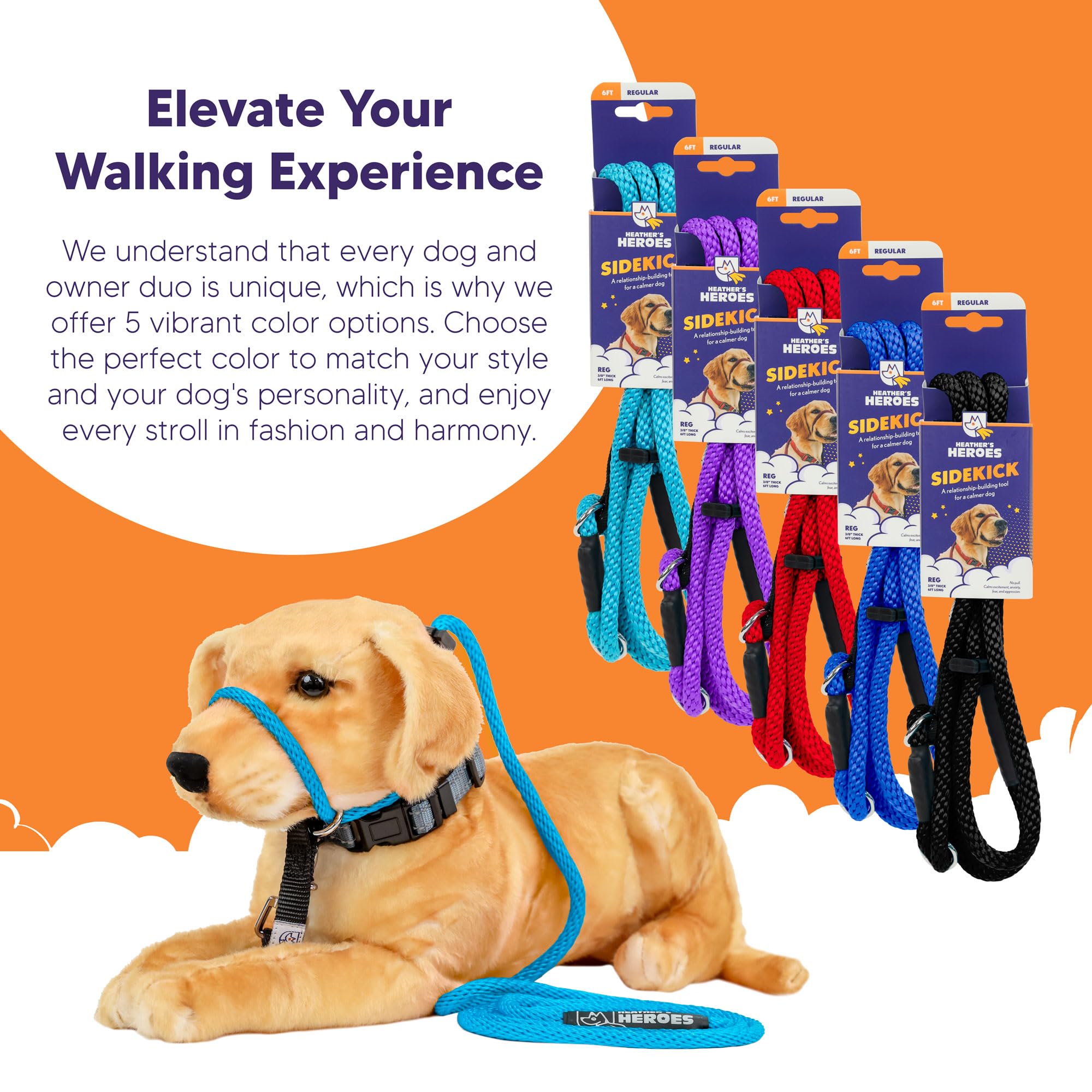 Heather's Heroes Sidekick strengthens bond through guided training sessions.