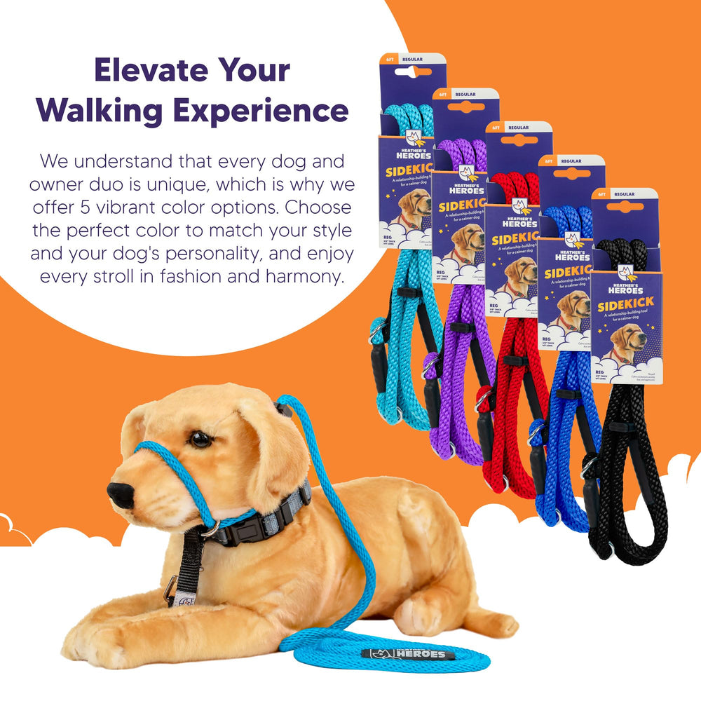 Heather's Heroes Sidekick strengthens bond through guided training sessions.