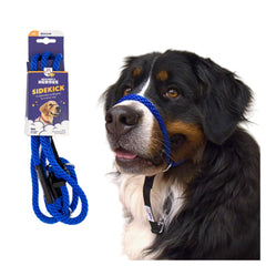 Heather's Heroes Sidekick dog headcollar in use for calm leash control.