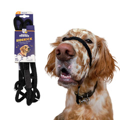 Heather's Heroes Sidekick headcollar and leash easing pulling during walks.