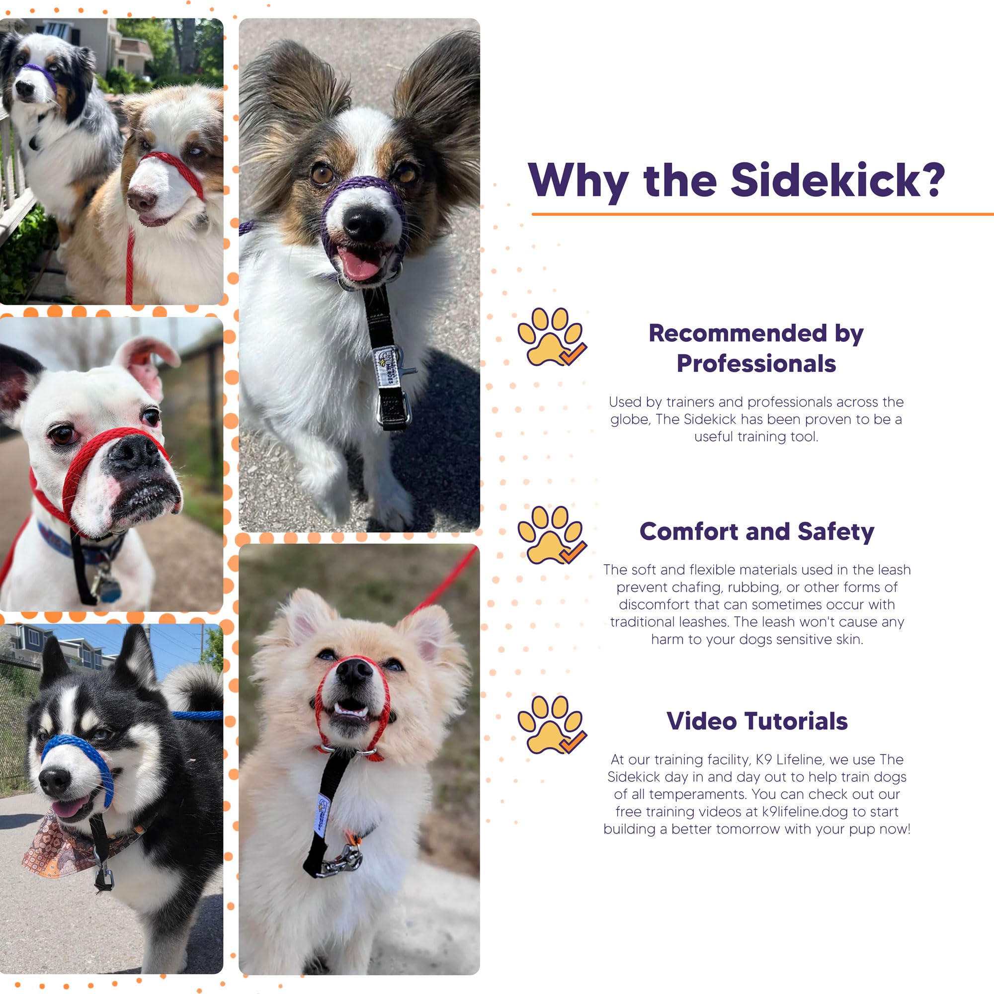 Heather's Heroes Sidekick nose-pressure helps gentle redirection.