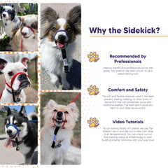 Heather's Heroes Sidekick nose-pressure helps gentle redirection.