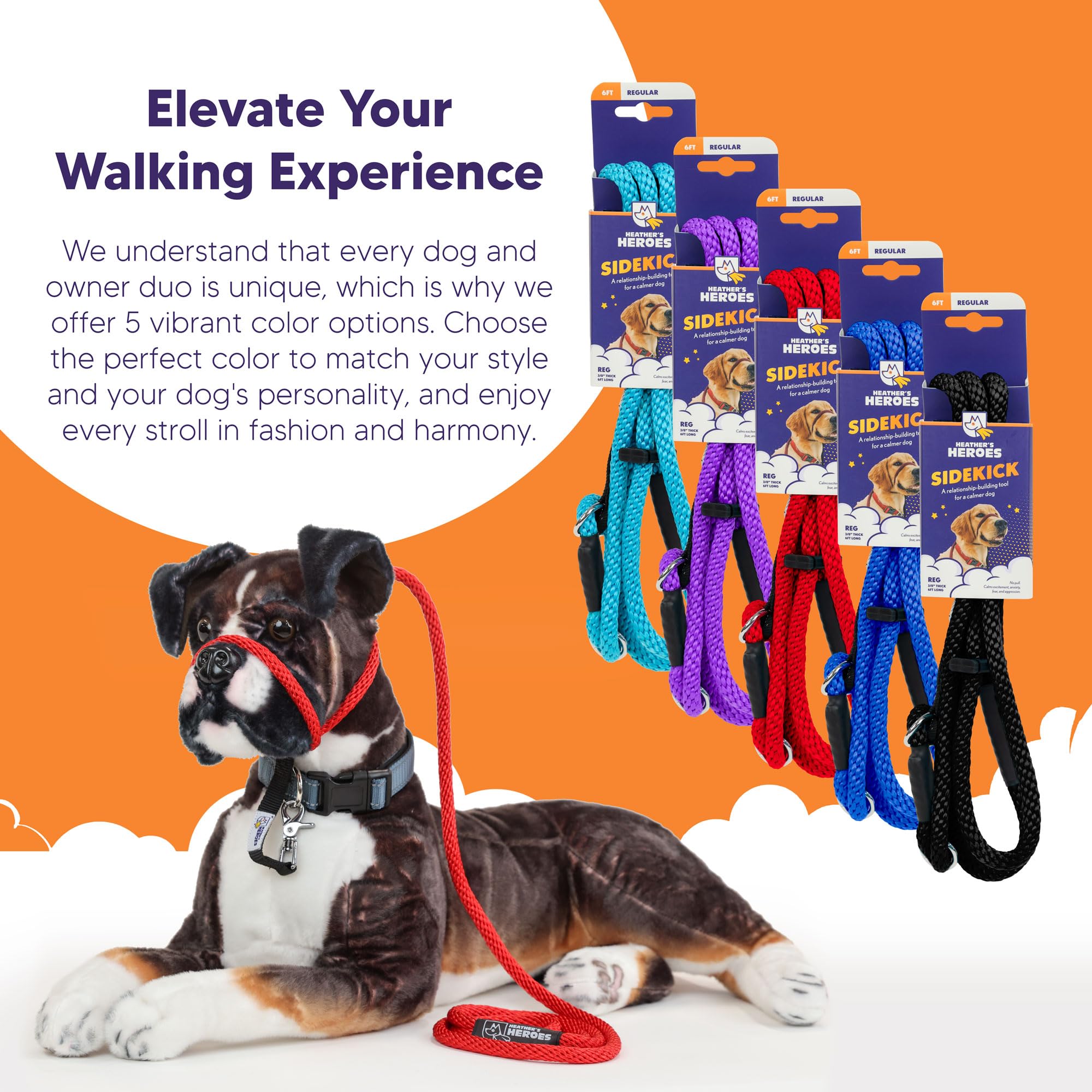 Heather's Heroes Sidekick dog training scene shows improved focus and smoother leash behavior.