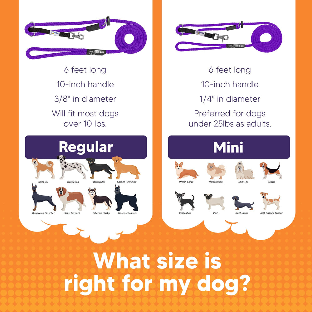 Heather's Heroes Sidekick bond-building setup helps strengthen owner-dog rapport