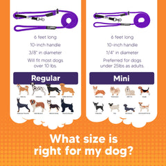 Heather's Heroes Sidekick bond-building setup helps strengthen owner-dog rapport