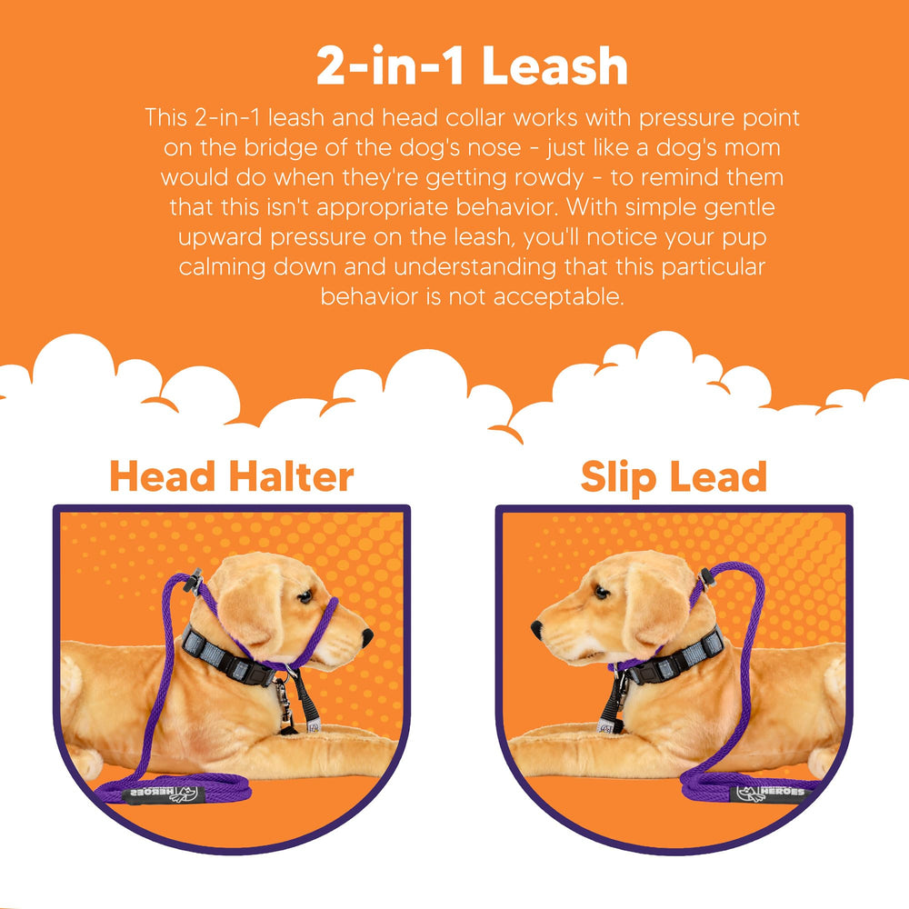 Heather's Heroes Sidekick assists leash reactivity management during walks