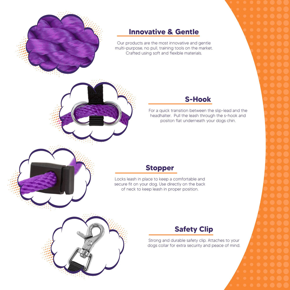 Heather's Heroes Sidekick purple mini headcollar with leash demonstrates controlled walking use