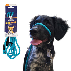 Heather's Heroes Sidekick headcollar turquoise on dog promotes calmer leash walking.