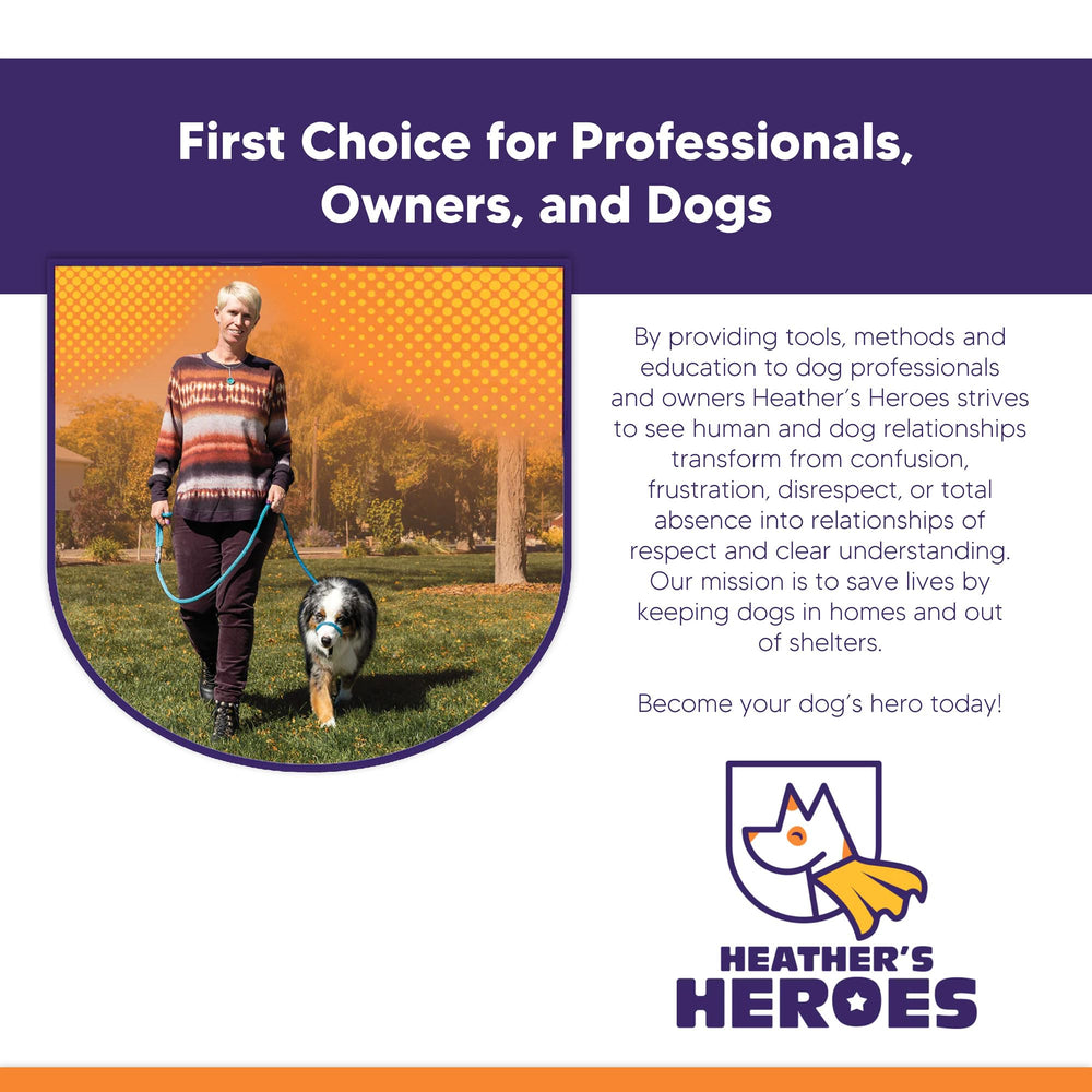 Heather's Heroes Sidekick in action shows controlled, confident walking on busy sidewalks.