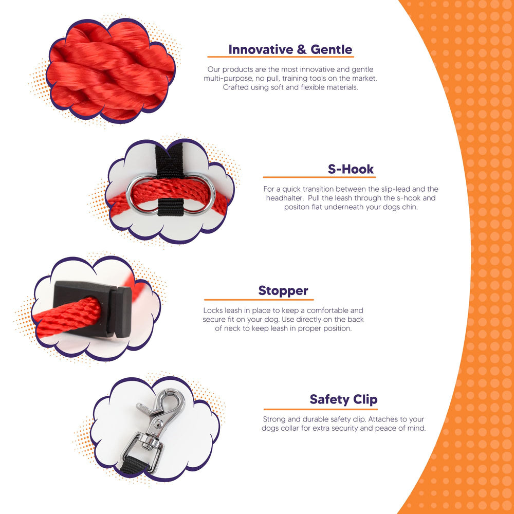 Heather's Heroes Sidekick red leash setup supports calm, guided walking sessions.