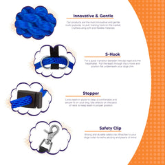 Heather's Heroes Sidekick leash transition for smoother, pull-free walks.