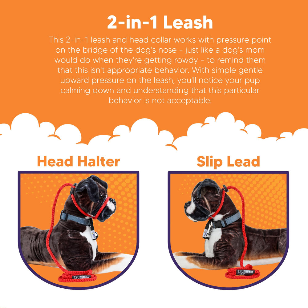 Heather's Heroes Sidekick packaging with instruction card aids at-home use.