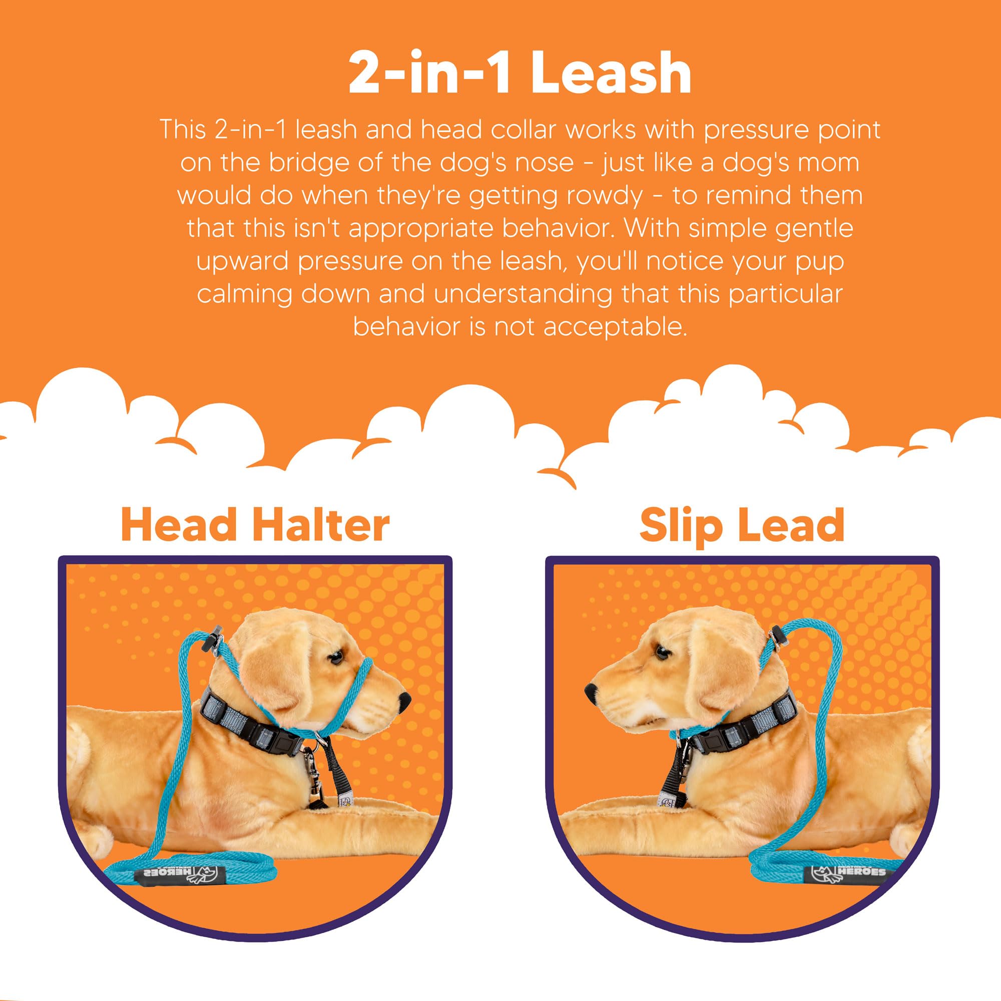 Heather's Heroes Sidekick trusted by professionals for daily dog training.