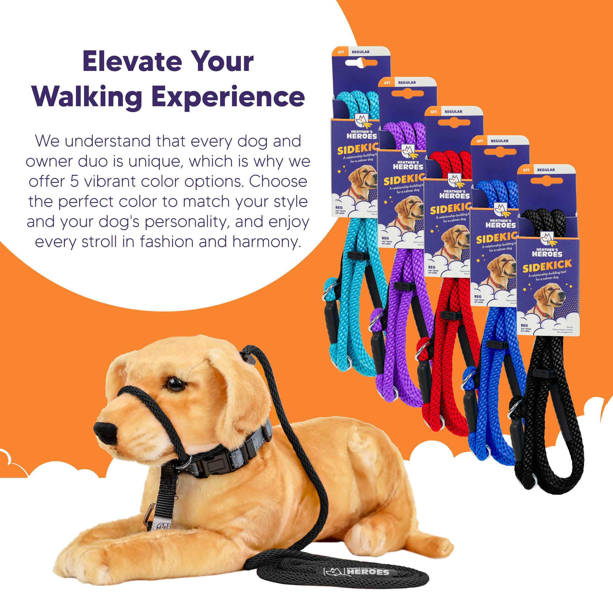 Heather's Heroes The Sidekick behavior mastery scene highlights reduced reactivity and smoother leash experiences.