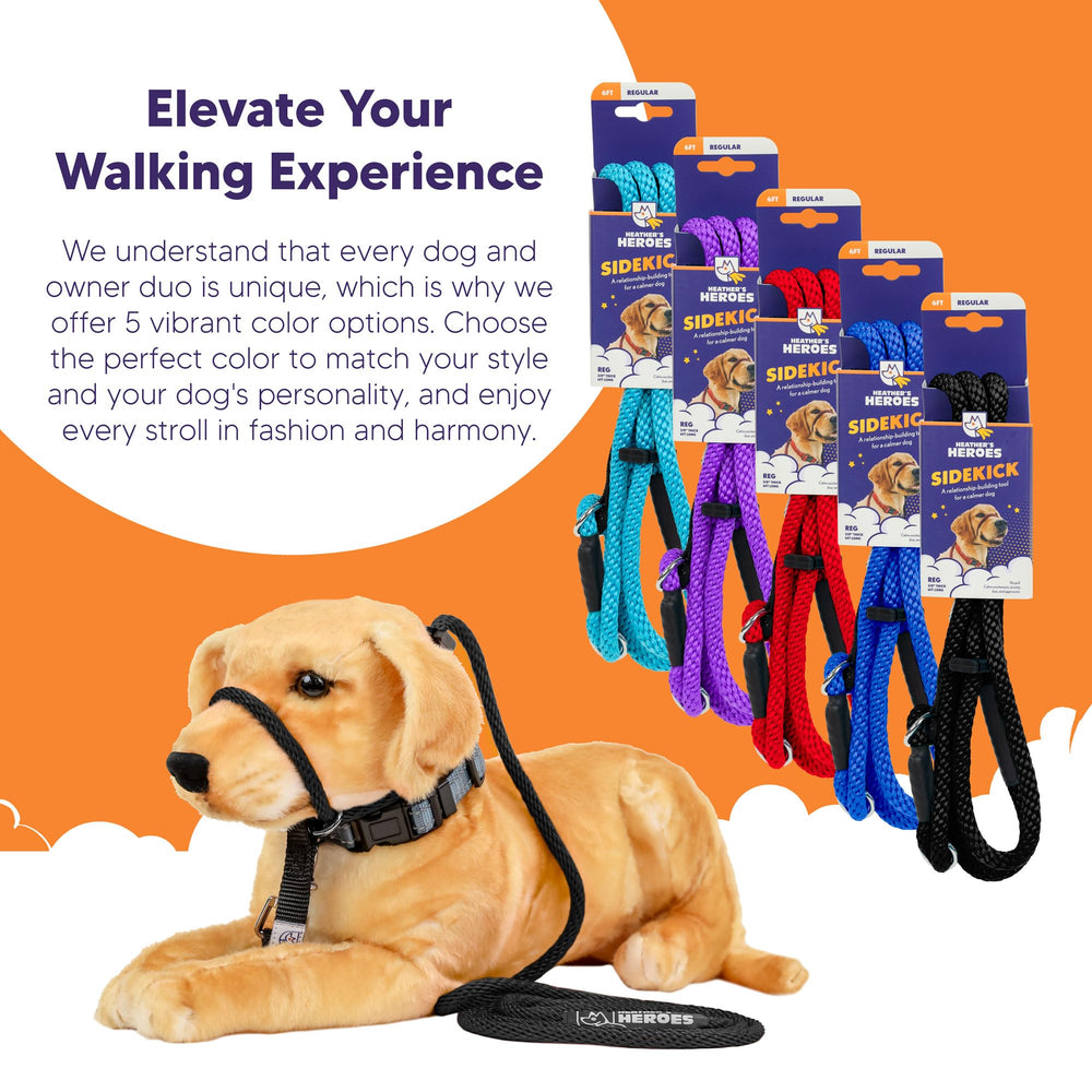 Heather's Heroes The Sidekick behavior mastery scene highlights reduced reactivity and smoother leash experiences.