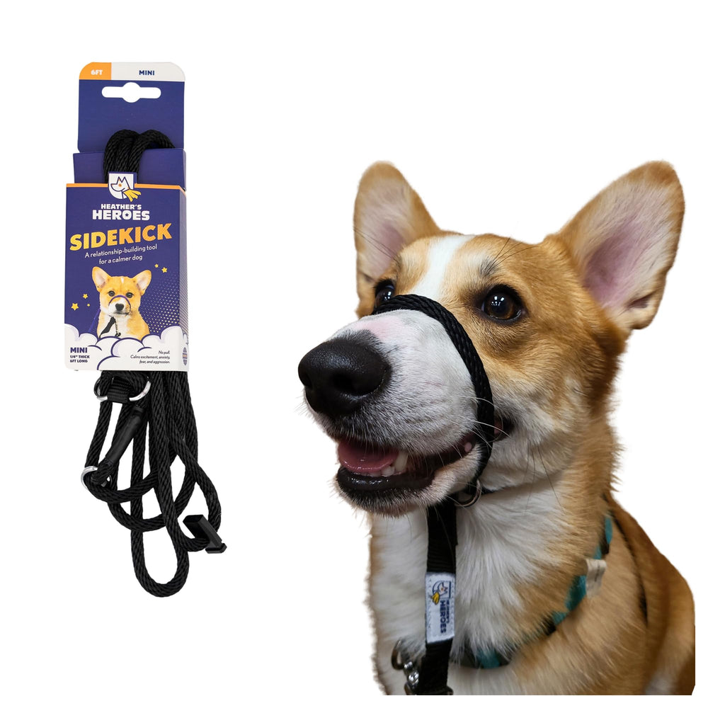 Heather's Heroes The Sidekick dog headcollar close-up shows the guiding design for calmer walks.