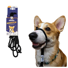 Heather's Heroes The Sidekick dog headcollar close-up shows the guiding design for calmer walks.