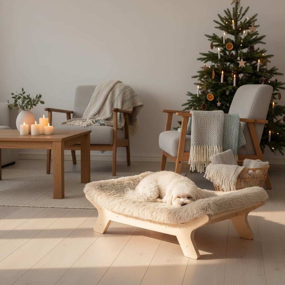 HEAVE SPROUT wooden raised frame keeps dog off cold floor for warmth