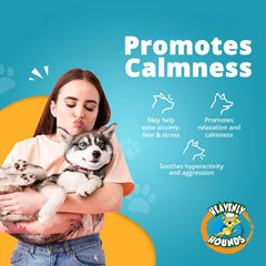 Dog enjoying Heavenly Hounds chew during travel for gentle anxiety support.