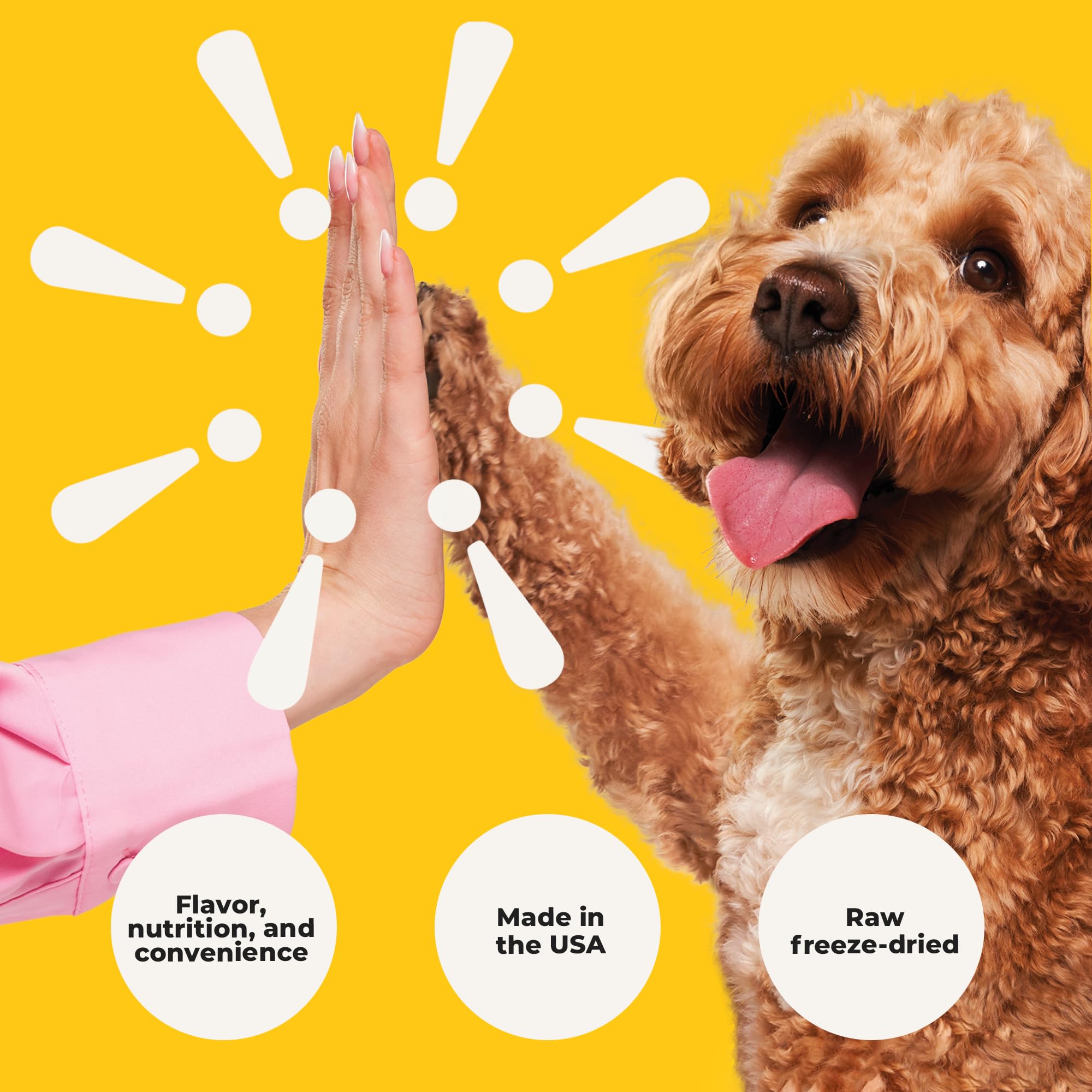 Heckova! Bow Wow freeze-dried serving shows easy rehydration and quick meals.