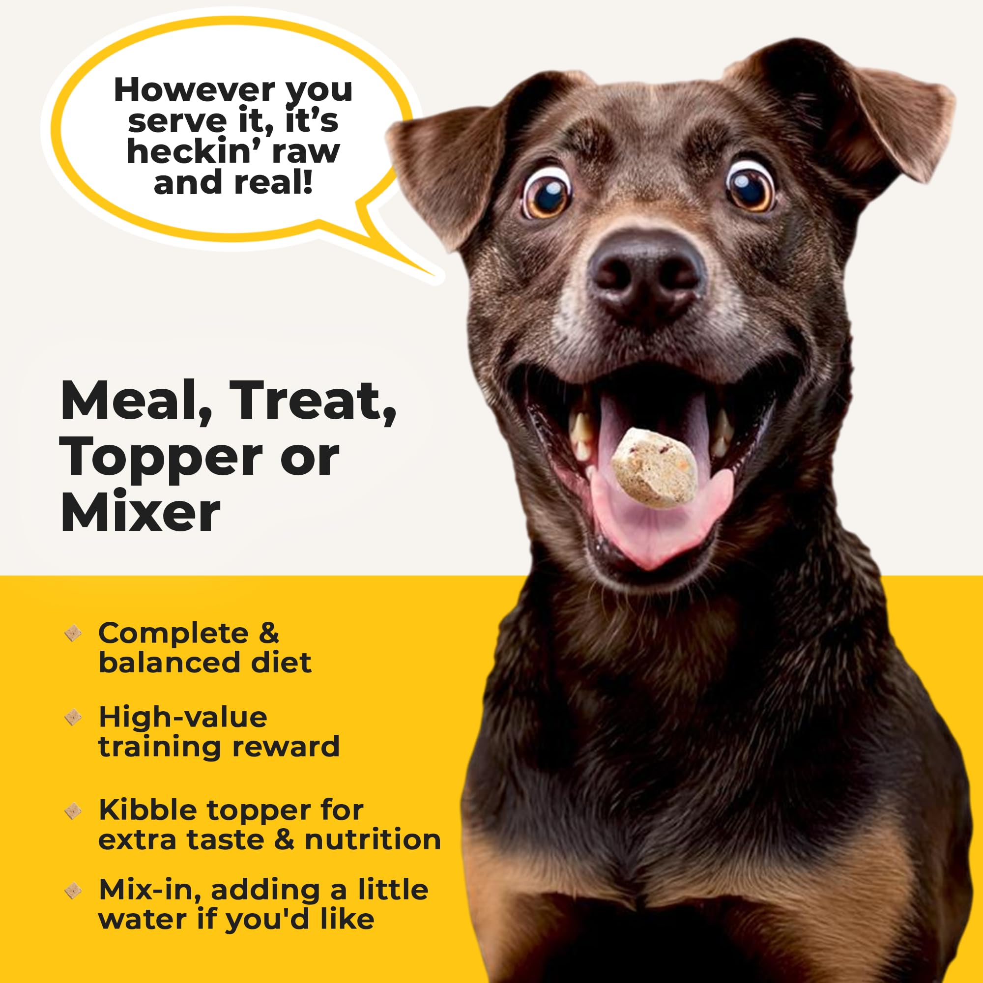 Heckova! Bow Wow USA-made nutrition graphic communicates vet-reviewed, quality-focused production.