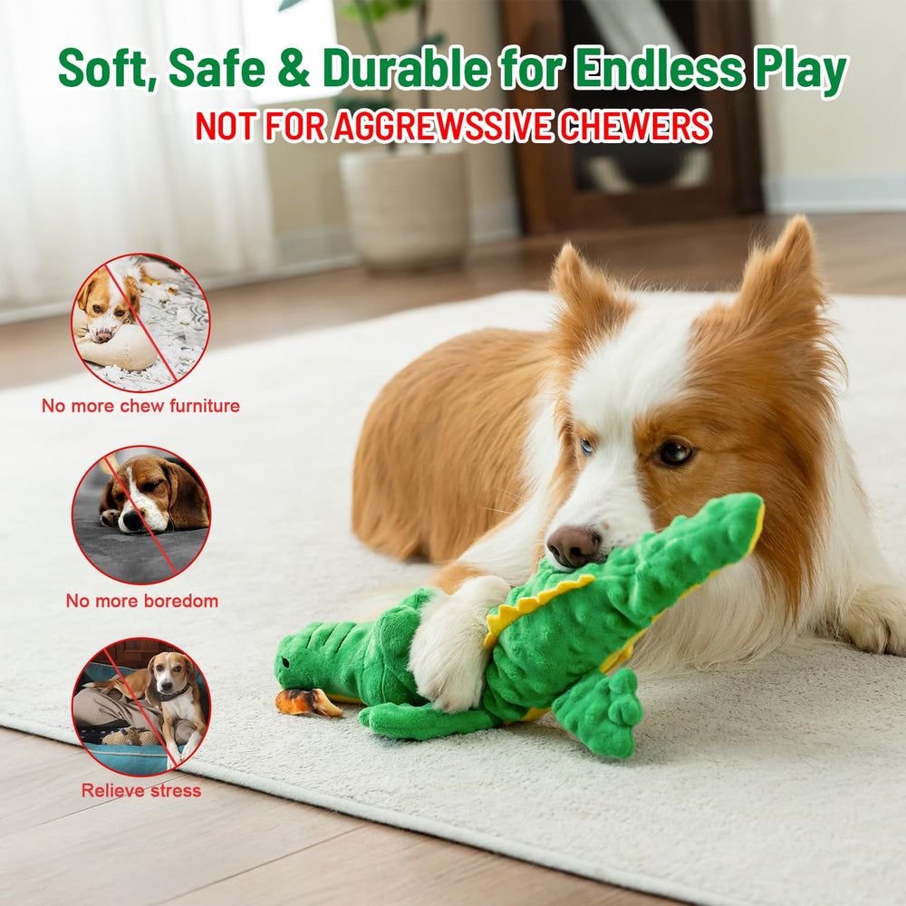 Hedsuin Alligator dog enjoying indoor outdoor play sessions