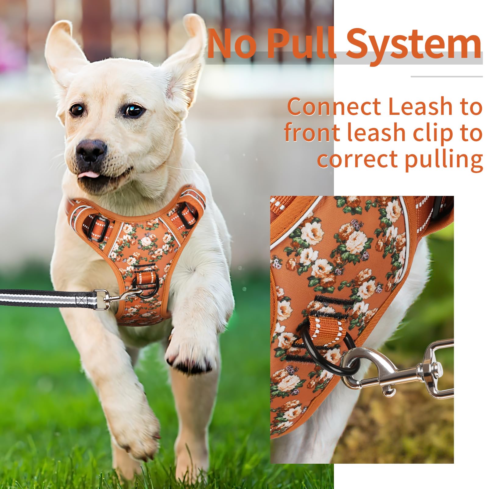 HEELE dog harness back handle soft padding shows easy control and assist