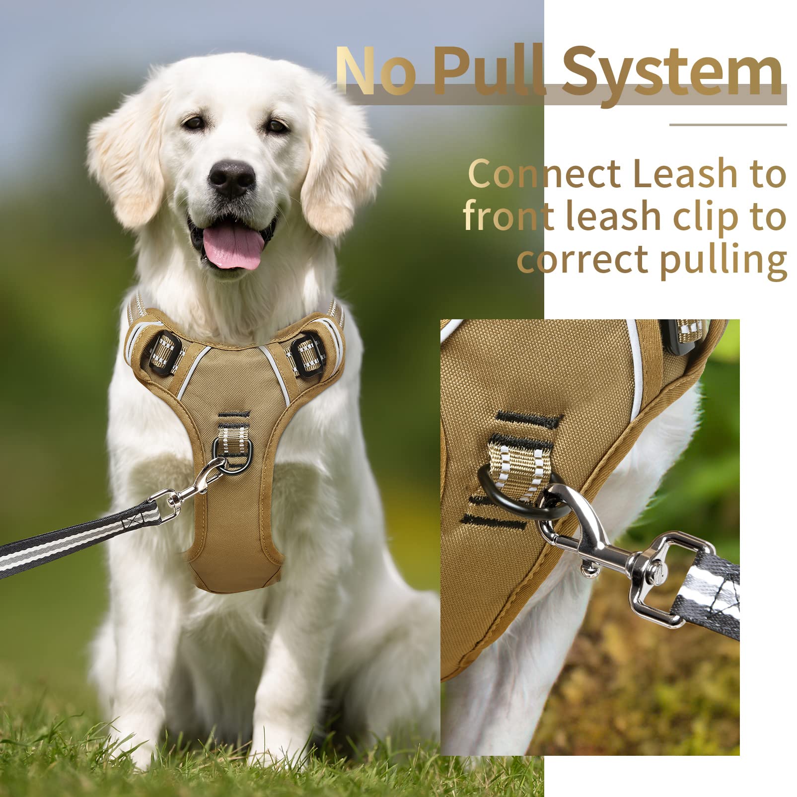 HEELE dog harness back leash ring for casual walks with added control