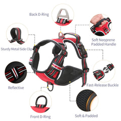 HEELE Dog Harness back leash ring enables safe, controlled casual walks.