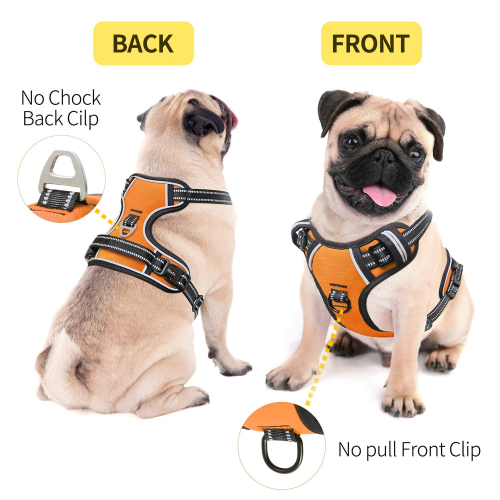 HEELE harness with dual leash rings for controlled walking