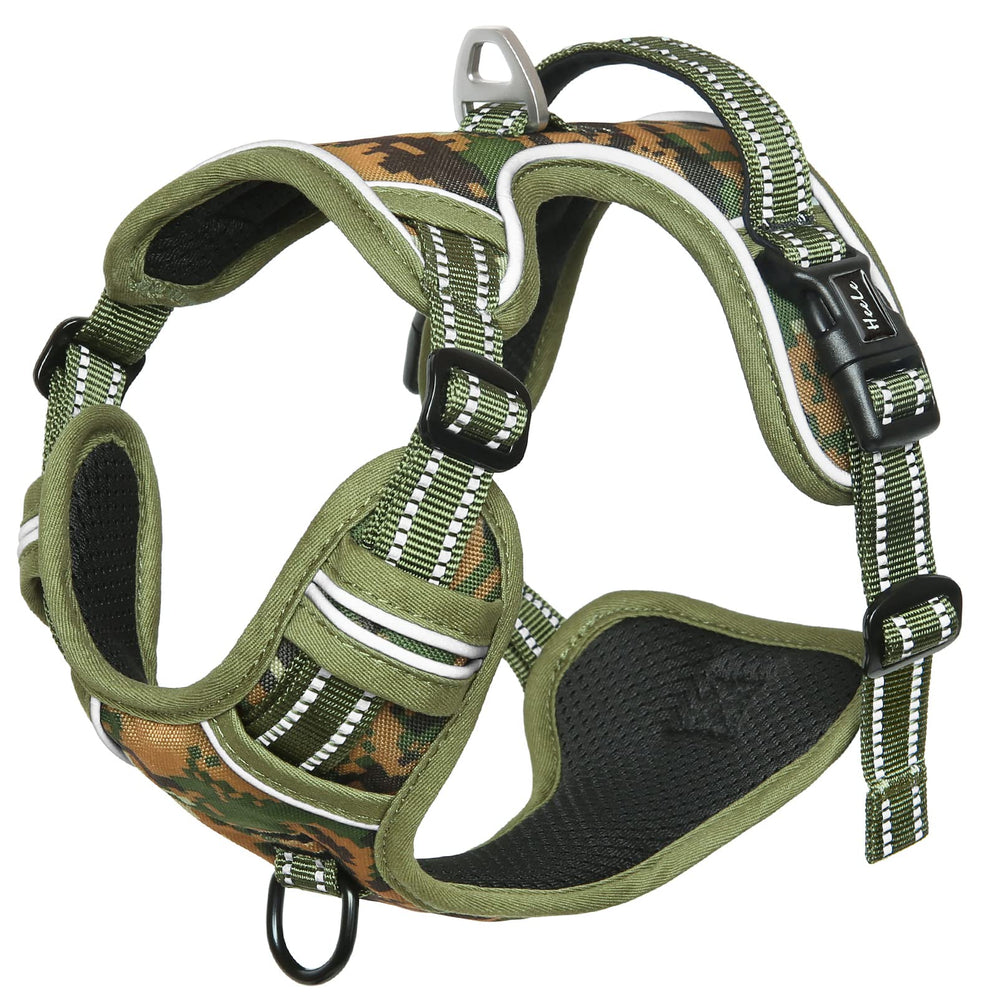HEELE dog harness casual walk setup with front and back leash rings for versatility.