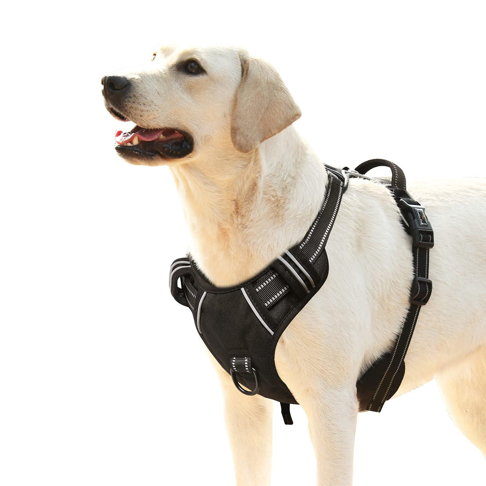 HEELE dog harness front view shows padded chest for comfortable daily walks.
