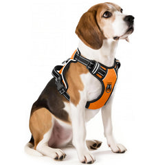 HEELE dog harness front view shows no pull design for comfortable walks
