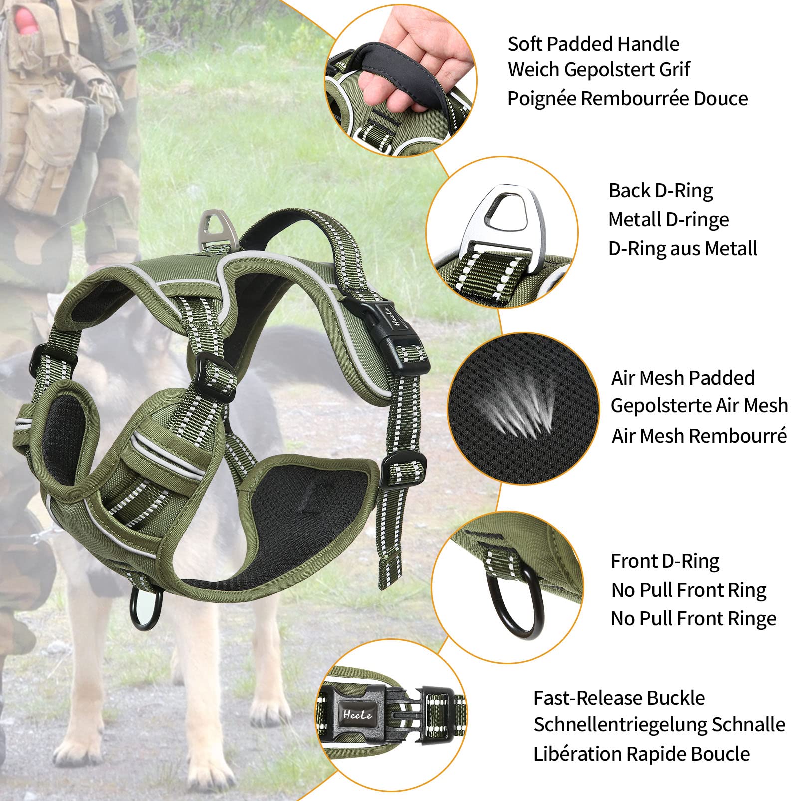 HEELE dog harness demonstrates no-pull design reducing neck strain during walks